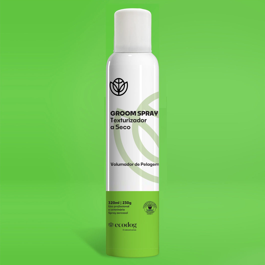 Groom Spray Texturizador en Seco, 320 ml